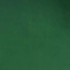 Maison Aubertin Poufs Pouf Salon Velours Vert -Chaise Soldes Magasin pouf salon velours vert 3